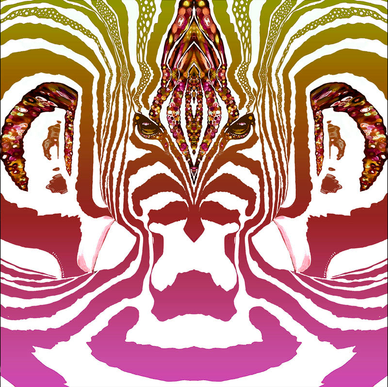 ZEBRA  Graderad Rosa- Stor sammetslen filt- Design by Helena Mernissi