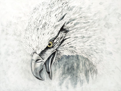 ALERIA 89 x 118 cm